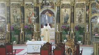 Episcopia GrecoCatolică de Oradea Live Stream [upl. by Horst]