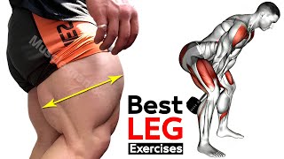 FULL Leg Workout  quadriceps  hamstring  thighs  glutes  Maniac Muscle [upl. by Aniras]