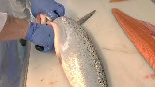 Salmon fish filleting [upl. by Kriste]