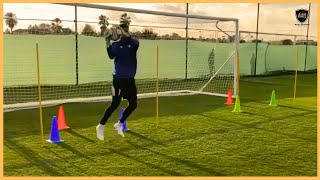 Professional Goalkeeper Training [upl. by Salvatore287]