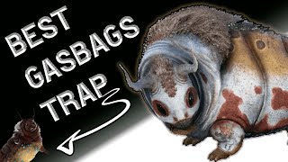 Best Gasbags Trap Ark  Easy Trap Gasbags  how to tame Gasbags Ark Survival Evolved  Gasbags Trap [upl. by Fenn354]