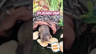 DIY beaver dam Looking for a fun and educational activity for your little one diy sensoryplay [upl. by Browne129]