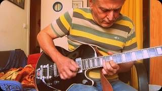 Hagstrom Tremar  Test micros [upl. by Hamford]