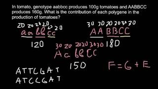 What is Polygene and Additive trait [upl. by Suzi]