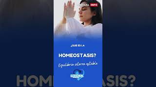 ¿Qué es homeostasis [upl. by Bonina]