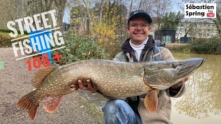 Du BROCHET en VILLE pendant la crue  Street Fishing à Bourges ça paye [upl. by Suivatram]