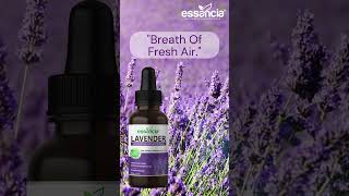 Lavender Essential Oil for Relaxation Sleep Laundry Meditation Massage and Aromatherapy [upl. by Rowell738]