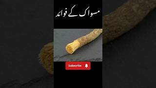 Miswak karne ke fayde shorts qeemtiwazife [upl. by Lseil]