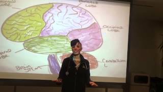 Sympathetic and Parasympathetic Nervous System fun fast and painless for nursing students [upl. by Eelreveb]