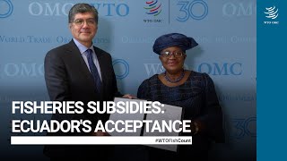 Fisheries subsidies Ecuadors acceptance [upl. by Varini161]