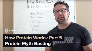 How Protein Works  Part 5 Protein Myth Busting [upl. by Tasia661]