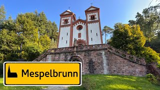 Gruftkapelle St Maria der Grafen von Ingelheim Germany [upl. by Reinert]