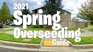 How To OVERSEED your lawn in SPRING 2021 Step by Step Guide  Easy process with AMAZING RESULTS [upl. by Turnheim]