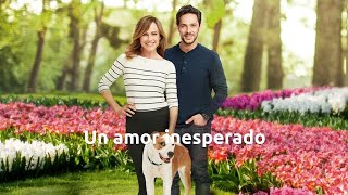 Un amor inesperado 2019 HDTVRip Español Castellano [upl. by Ibor]