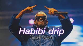 Habibi Drip  Ribin richard  Dabzee slowed  reverb [upl. by Euseibbob]