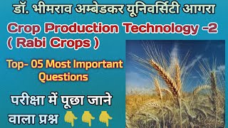 Crop Production Technology 02  Rabi Crops  Top05 Most Important Long Questions Bsc AG 4th Sem [upl. by Amitaf]