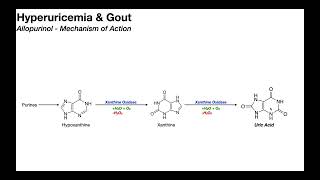 Allopurinol Mechanism of Action for Gout [upl. by Boarer]