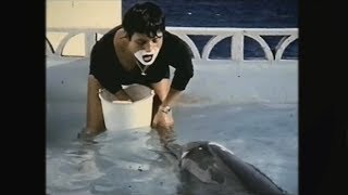 Teaching a dolphin to speak English  The Girl Who Talked to Dolphins Preview  BBC Four [upl. by Ebert]