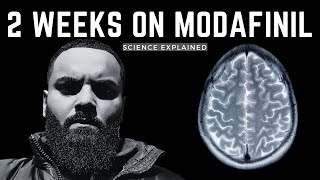 MODAFINIL EXPLAINED  2 WEEK EXPERIENCE UPDATE [upl. by Ardnauq]