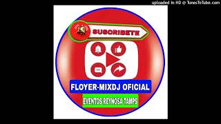 Grupo Bryndis  Vas A Sufrir FloyerMixDj  Intro Outro [upl. by Ayoted]