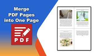 How to merge PDF pages into one page in PDFXChange Editor [upl. by Mencher]