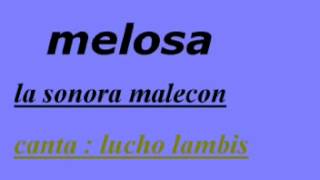 MELOSA la sonora malecon [upl. by Baxter]