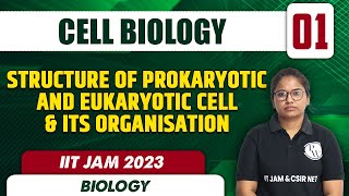 Cell Biology 01  Structure of Prokaryotic and Eukaryotic Cell amp its Organisation  IIT JAM 2023 [upl. by Irdua437]