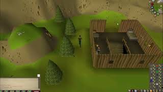 OSRS Farming Guy III New Goals and Running in Circles 18 [upl. by Adnwahsat]