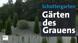 Steine statt Gras  Schottergärten verbieten  Abendschau  BR24 [upl. by Laflam889]