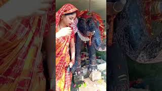 Dharti gagan me hoti hai teri jai jai kaar o maiya jai mata di [upl. by Gnirol]