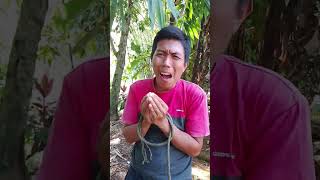 Sama sama keikat comedy shortvideo [upl. by Petey434]