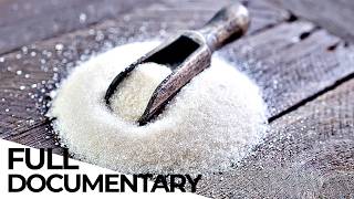 The Sugar Lobby How The Industry Hides The Real Harm Caused By Sugar  ENDEVR Documentary [upl. by Anele437]