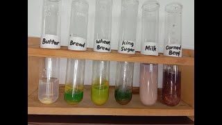 Testing for Nutrients Food Test Iodine Ethanol Biuret Benedicts DCPIP [upl. by Yerffej]