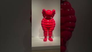 VLOG going to the KAWS exhibit 😎 [upl. by Karlow]