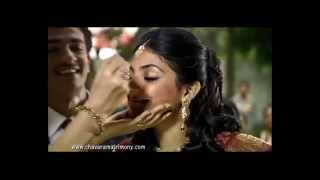 Chavara Matrimony Commercial [upl. by Atronna74]