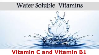 BIO Vitamin Metabolism  Vitamin C and Vitamin B1  شرح فيتامين سى و ب 1 [upl. by Arutak679]