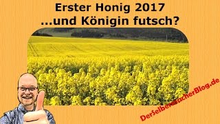 Der erste Honig 2017 und Königin weg [upl. by Elberta]