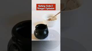 Baking Soda amp Vinegar Explosion science 100kview [upl. by Farica]