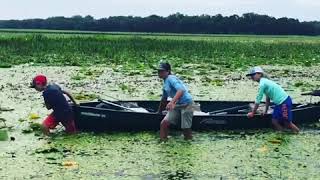 Mounting a trolling motor on a canoe [upl. by Henrion]