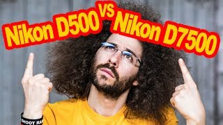 Nikon D500 VS Nikon D7500 Comparison Which To Buy [upl. by Witherspoon]