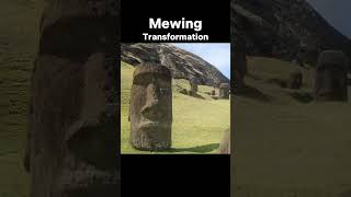 Mewing Transformation [upl. by Roderic]