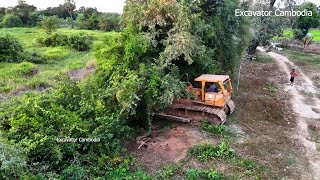 Amazing Heavy Old Heavy Bulldozer Working Breakdown Tree Making New Road With Small Dozer And Truck [upl. by Corvin]