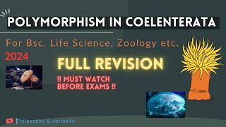 Polymorphism in Coelenterata Bsc Life science Full lecture 2024 Delhiother University [upl. by Yentrok]