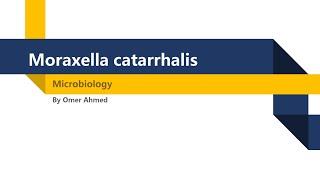 Microbiology  Moraxella Catarrhalis [upl. by Aurore711]