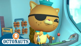 Octonauts  Plenty of Fishes Under the Sea  Cartoons for Kids  Underwater Sea Education [upl. by Maressa540]