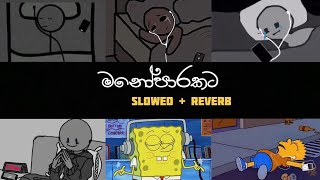 මනෝපාරකට සිංදු  Slowed and Reverb  Manoparakata Shinhala song Collection 3 [upl. by Nednyl]