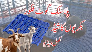 Plastic Floor for Goats in Pakistan  Alpha Livestock [upl. by Assadah]