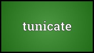 Tunicate Meaning [upl. by Nnaeiluj]