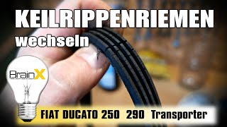 Fiat Ducato Keilriemen wechseln  How to change Tension Belt [upl. by Higginbotham684]