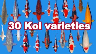 30 Koi Fish varieties types and characteristics [upl. by Mintun92]